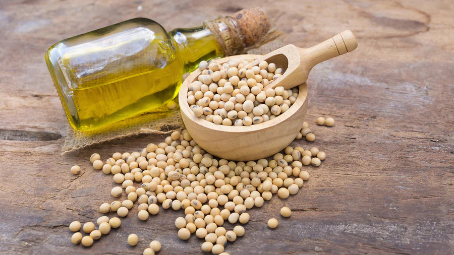 lecithin-business
